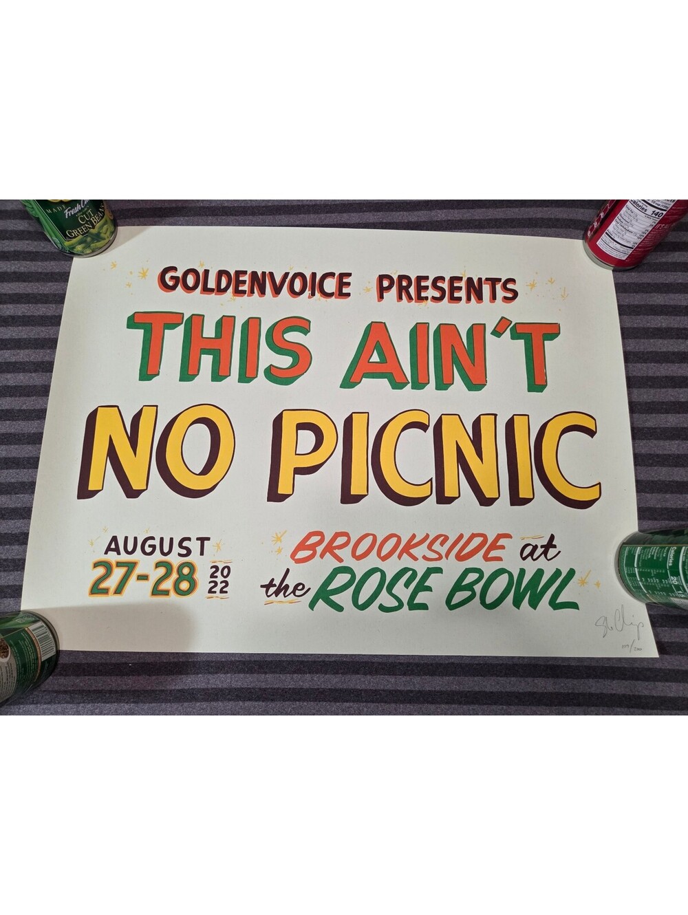 This Ain't No Picnic 2022 She Chimp Hand Made Concert Poster